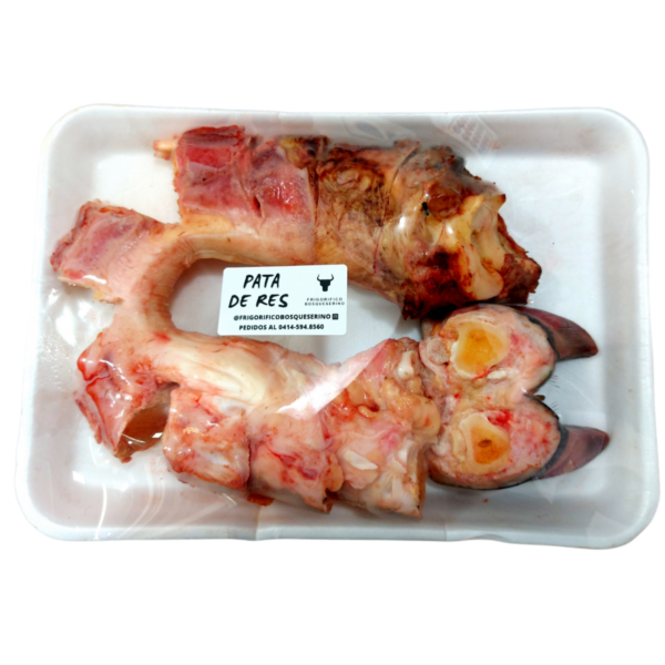 CA-PATADERES