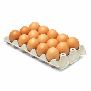 MEDIO CARTON DE HUEVO 15ud - Imagen 1